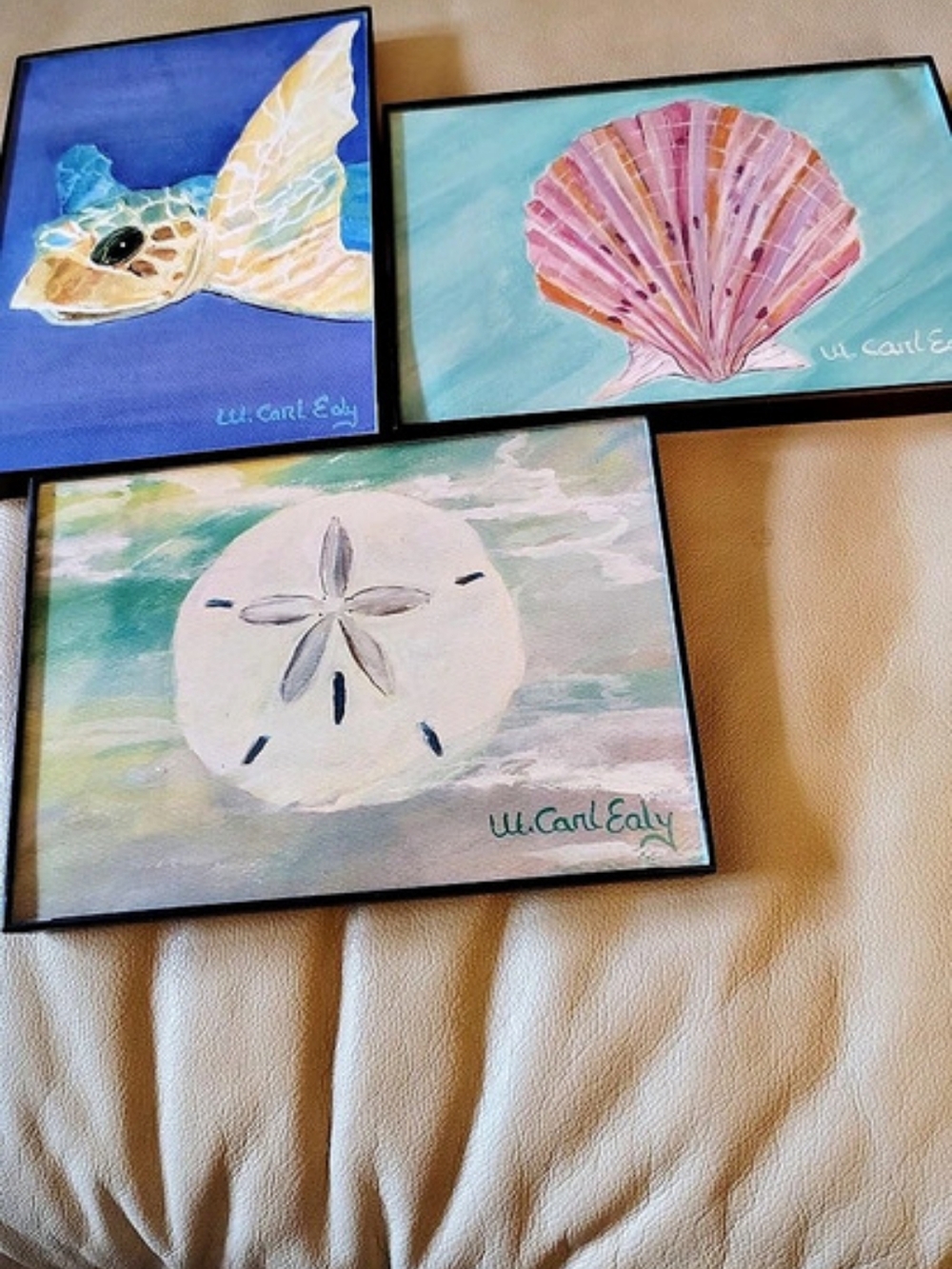W. Carl Ealy Coastal Sea Life Framed Art Print Set 3-Piece Coastal Shell Wall